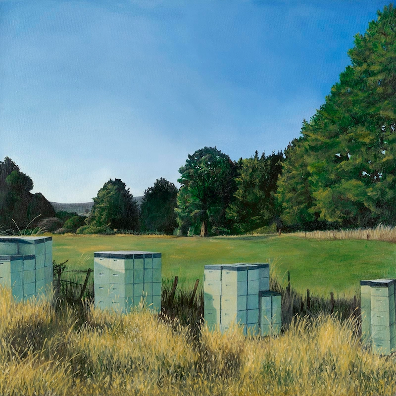 Beehives at Kakahi